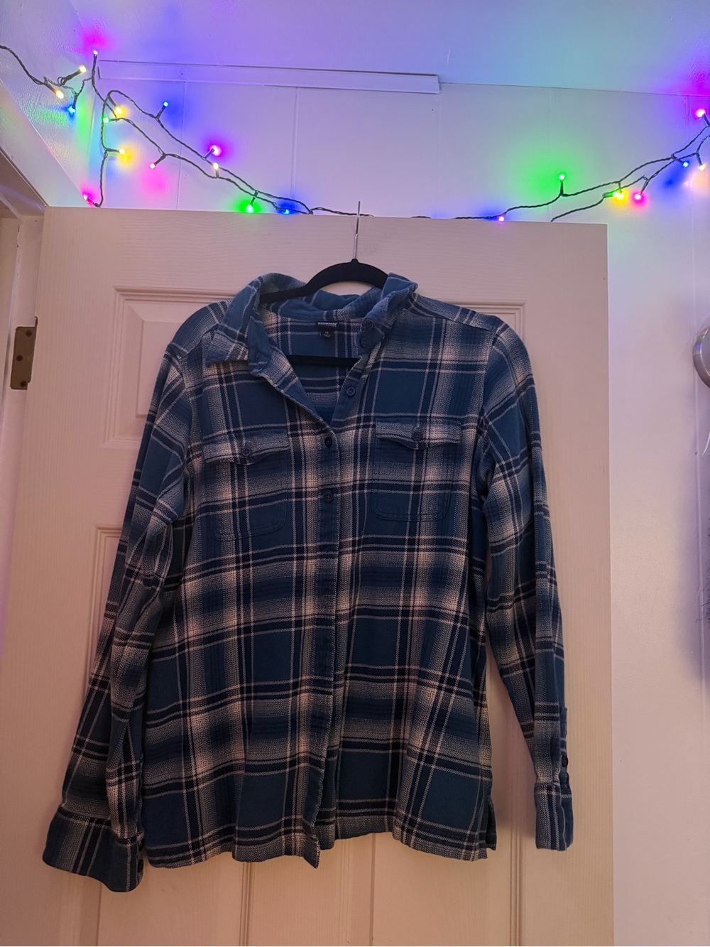 Patagonia Organic Cotton Flannel